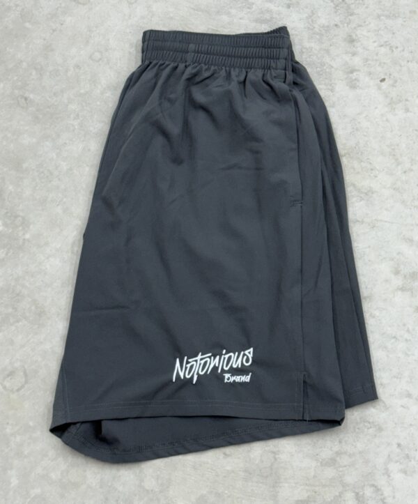 NOTORIOUS GRAPHITE SHORT